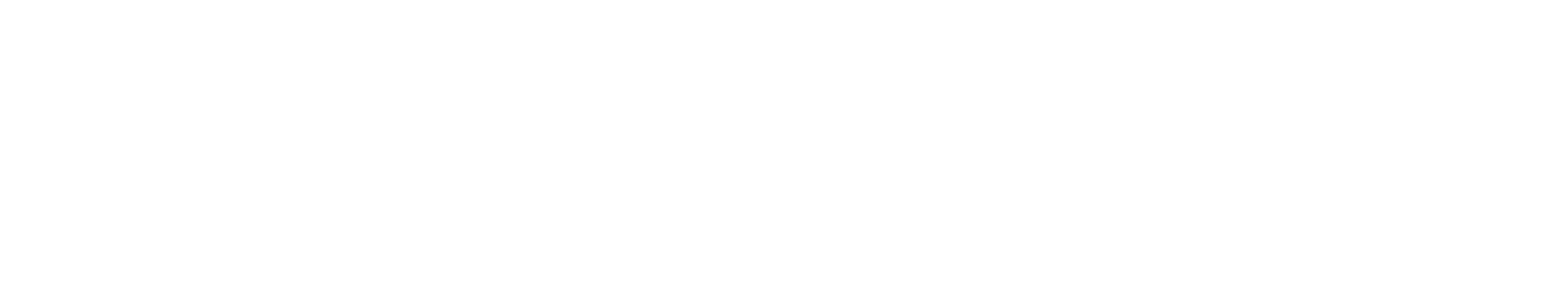 Synergy Micro White Logo